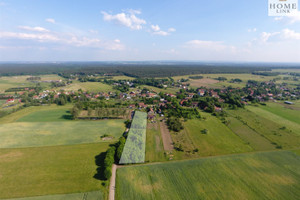 Działka na sprzedaż ostródzki Miłomłyn Liwa Zielona - zdjęcie 1