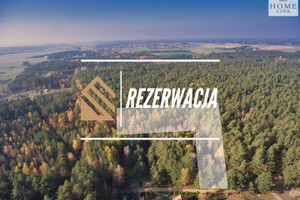 Działka na sprzedaż 4900m2 olsztyński Stawiguda Gryźliny - zdjęcie 1