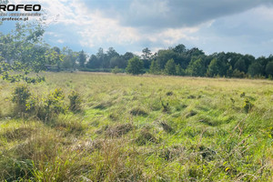 Działka na sprzedaż 1183m2 bielski Jasienica Międzyrzecze Górne - zdjęcie 3