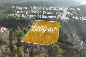 Działka na sprzedaż gorzowski Kłodawa Lipy - zdjęcie 3