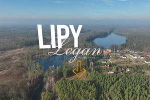 Działka na sprzedaż 8200m2 gorzowski Kłodawa Lipy - zdjęcie 1