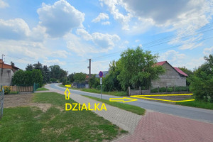 Działka na sprzedaż 10600m2 kutnowski Krzyżanów Kaszewy Kościelne - zdjęcie 4