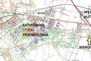 Działka na sprzedaż 21100m2 kutnowski Krzyżanów Kaszewy Dworne - zdjęcie 2