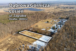 Działka na sprzedaż 3800m2 Dąbrowa Górnicza Łosień - zdjęcie 2