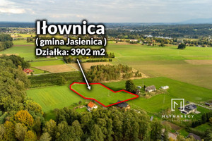 Działka na sprzedaż 3900m2 bielski Jasienica Iłownica - zdjęcie 3