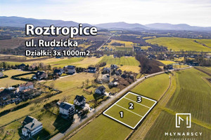 Działka na sprzedaż 1000m2 bielski Jasienica Roztropice - zdjęcie 2