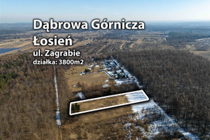 Działka na sprzedaż 3800m2 Dąbrowa Górnicza Łosień - zdjęcie 3