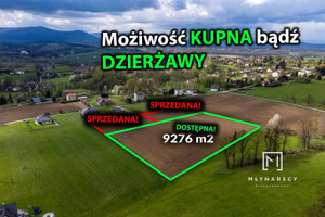 Działka na sprzedaż 9276m2 bielski Jasienica Bielowicko - zdjęcie 2