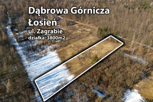 Działka na sprzedaż 3800m2 Dąbrowa Górnicza Łosień - zdjęcie 1