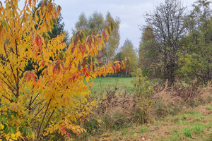 Działka na sprzedaż 1500m2 piaseczyński Piaseczno Siedliska - zdjęcie 3