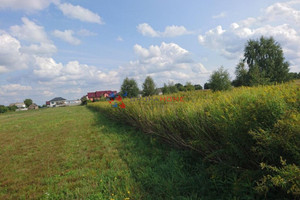 Działka na sprzedaż 3000m2 piaseczyński Prażmów Nowe Wągrodno - zdjęcie 1