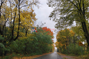 Działka na sprzedaż 1340m2 piaseczyński Piaseczno Zalesie Dolne - zdjęcie 2