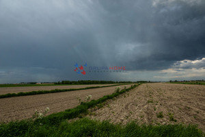 Działka na sprzedaż 1000m2 pruszkowski Raszyn Falenty Nowe - zdjęcie 2