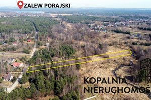 Działka na sprzedaż 5959m2 myszkowski Koziegłowy Letniskowa - zdjęcie 2