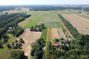 Działka na sprzedaż 4000m2 bełchatowski Bełchatów - zdjęcie 2