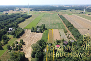 Działka na sprzedaż 4000m2 bełchatowski Bełchatów - zdjęcie 2