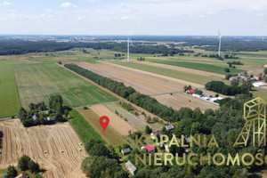 Działka na sprzedaż 4000m2 bełchatowski Bełchatów - zdjęcie 3