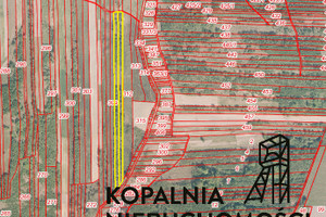 Działka na sprzedaż 13520m2 myszkowski Niegowa Gorzków Stary - zdjęcie 4