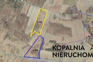 Działka na sprzedaż 32500m2 rybnicki Lyski Zwonowice - zdjęcie 2