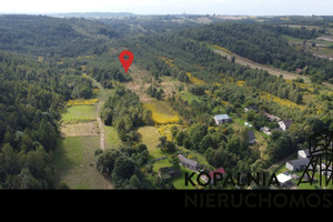 Działka na sprzedaż 13520m2 myszkowski Niegowa Gorzków Stary - zdjęcie 2