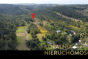 Działka na sprzedaż 13520m2 myszkowski Niegowa Gorzków Stary - zdjęcie 2