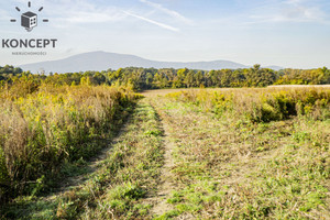 Działka na sprzedaż 3000m2 wrocławski Sobótka Nasławice Łąkowa - zdjęcie 2