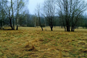 Działka na sprzedaż 800m2 lwówecki Mirsk Rębiszów - zdjęcie 1