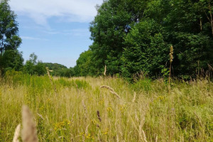 Działka na sprzedaż 6900m2 jaworski Męcinka Myślinów - zdjęcie 2