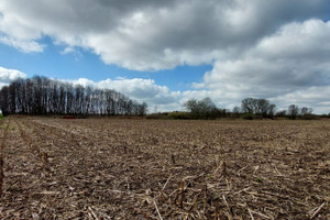 Działka na sprzedaż 10900m2 oleśnicki Oleśnica Smardzów - zdjęcie 1