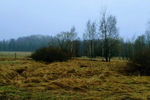 Działka na sprzedaż 800m2 lwówecki Mirsk Rębiszów - zdjęcie 2