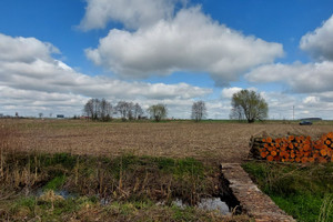 Działka na sprzedaż 10900m2 oleśnicki Oleśnica Smardzów - zdjęcie 3