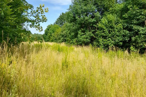 Działka na sprzedaż 6900m2 jaworski Męcinka Myślinów - zdjęcie 1