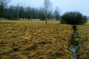 Działka na sprzedaż 800m2 lwówecki Mirsk Rębiszów - zdjęcie 3