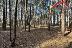 Działka na sprzedaż 2700m2 garwoliński Wilga Stary Żabieniec - zdjęcie 1