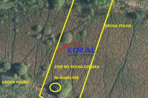 Działka na sprzedaż 2500m2 pińczowski Pińczów Skrzypiów Skrzypiów - Pińczów - zdjęcie 3