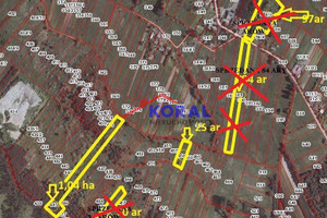 Działka na sprzedaż 10400m2 pińczowski Pińczów Skrzypiów Pińczów - Skrzypiów - zdjęcie 2