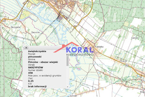 Działka na sprzedaż 2500m2 pińczowski Pińczów Skrzypiów Skrzypiów - Pińczów - zdjęcie 2