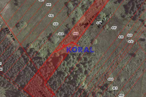 Działka na sprzedaż 10400m2 pińczowski Pińczów Skrzypiów Pińczów - Skrzypiów - zdjęcie 1