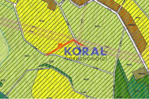 Działka na sprzedaż 10400m2 pińczowski Pińczów Skrzypiów Pińczów - Skrzypiów - zdjęcie 3