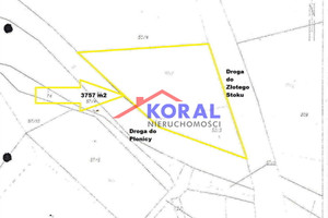 Działka na sprzedaż 3757m2 ząbkowicki Złoty Stok Płonica Płonica - zdjęcie 1