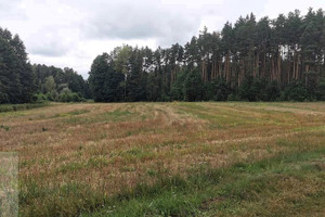 Działka na sprzedaż 14500m2 białostocki Zabłudów Kudrycze - zdjęcie 3