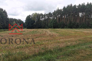 Działka na sprzedaż 14500m2 białostocki Zabłudów Kudrycze - zdjęcie 3