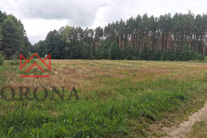 Działka na sprzedaż 14500m2 białostocki Zabłudów Kudrycze - zdjęcie 1