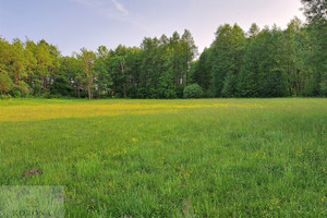 Działka na sprzedaż 4504m2 grajewski Rajgród Rybczyzna - zdjęcie 1