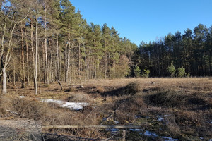 Działka na sprzedaż 21898m2 białostocki Wasilków Osowicze - zdjęcie 3