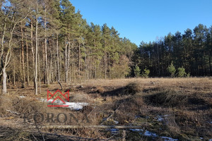 Działka na sprzedaż 21898m2 białostocki Wasilków Osowicze - zdjęcie 3