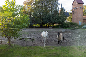 Dom na sprzedaż 280m2 raciborski Kuźnia Raciborska Rudy Dworcowa - zdjęcie 1