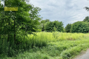 Działka na sprzedaż gliwicki Sośnicowice Choryńskowice - zdjęcie 3