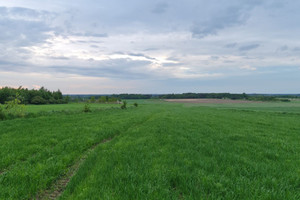 Działka na sprzedaż 4003m2 Łódź Widzew Olechów-Janów - zdjęcie 1