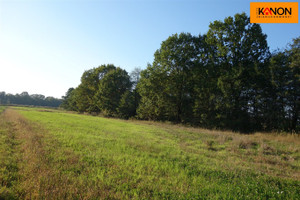 Działka na sprzedaż 6261m2 cieszyński Skoczów Ochaby Wielkie - zdjęcie 1